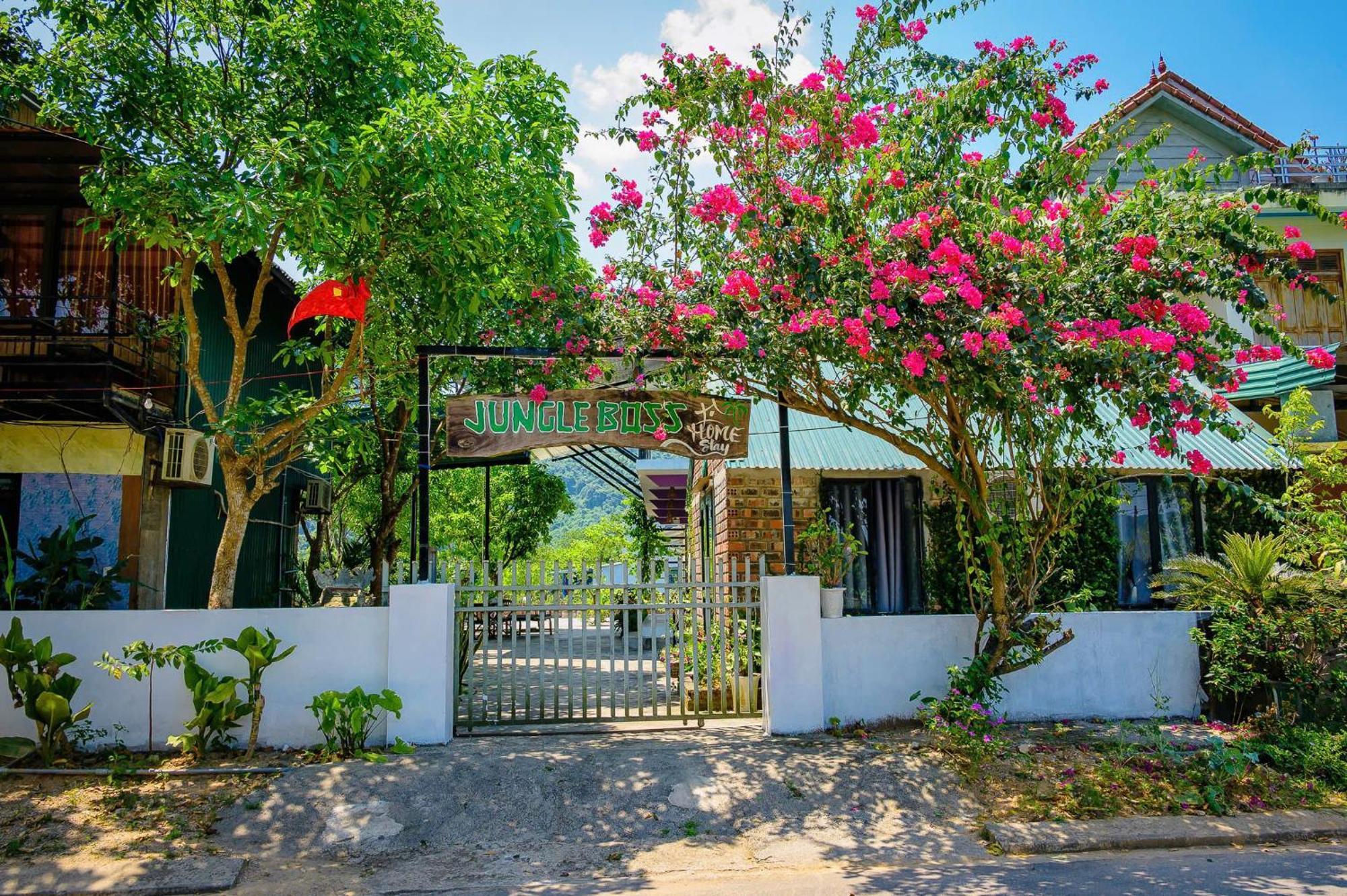 Jungle Boss Homestay Phong Nha Eksteriør bilde